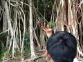 Image Tarzan Xxx Cianjur
