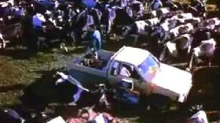 Price of milk trailer