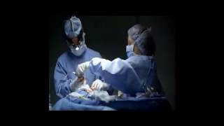 gifted hands trailer