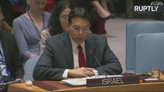 Заседание Совбеза ООН в связи с гибелью мирных жителей в секторе Газа