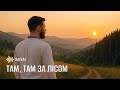 SpivAI - ???, ??? ?? ?????