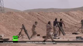 Сирийские войска освободили историческую крепость Пальмиры от боевиков ИГ
