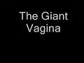 Picture My Vagina It S Really Big No No Memek Janda