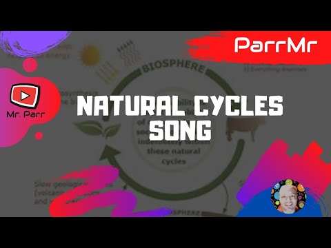 Natural Cycles Song
