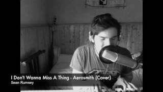 Aerosmith - I Don't Wanna Miss A Thing (Sean Rumsey cover)
