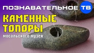 Неудобная история: Каменные топоры Мосальского музея (Артём Войтенков)