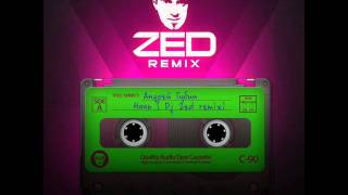 Андрей Губин - Ночь (DJ Zed Remix)