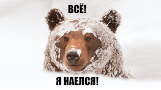 "Русские готовы есть снег, но предпочитают деликатесы" – заявил Дмитрий Песков