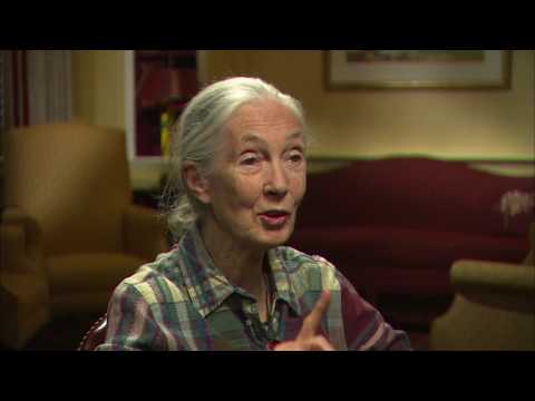 I Remember | Program | #2007 -- Jane Goodall, Ph.D.
