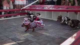 Wiener Dog Internationals Trailer