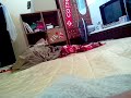 Image Sma Sex Di Rumah Kosong