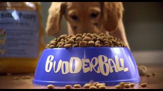 Air Buddies - Trailer