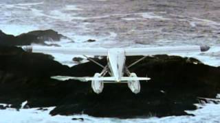 Far from Home: The Adventures of Yellow Dog - Trailer