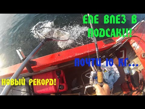 ловля плотвы и карася в прудах ловля плотвы и карася в прудах