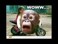 Image Abg Sexi