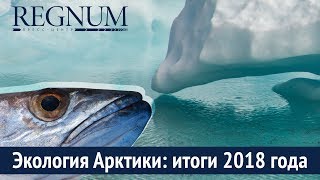 Пресс-конференция «Экология Арктики: итоги 2018 года» (02.04.2019 15:16)
