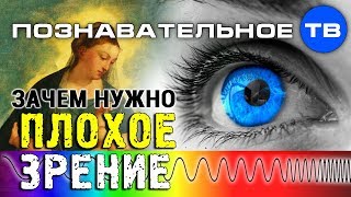 Зачем нужно плохое зрение? (Артём Войтенков)