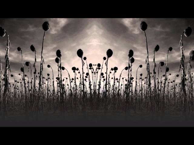 filmik Dead can dance Opium