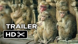 Monkey Kingdom Official Trailer #1 (2015) - Disneynature Documentary HD