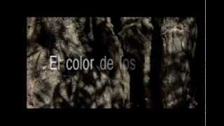El color de los olivos [trailer]
