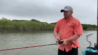 Striper schooling shallow waterStriper schooling shallow water