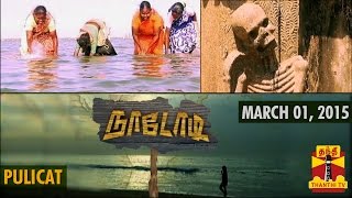 Naadodi 01-03-2015 Thanthitv Show | Watch Thanthi Tv Naadodi Show March 01, 2015
