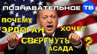 Почему Эрдоган хочет свергнуть Асада? (Артём Войтенков)