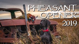 South Dakota Pheasant Hunt 2019South Dakota Pheasant Hunt 2019