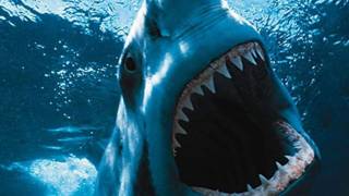 SHARK NIGHT 3D | Trailer german deutsch & Kritik [HD]