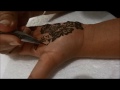 Picture Beautiful Arabic Henna Mehendi Design For Indian And Pakistani Festivals Eid And Teej Special