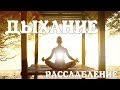 Катерина Буйда - Медитация для начинающих Катерина Буйда - Медитация для начинающих