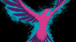 19th Latin American Film Festival - Official Trailer