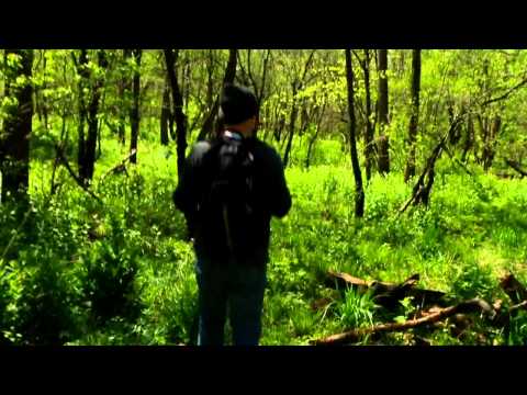 Student Ops 2012 | Program | A Fistful of Beavers