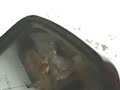 Image Anak Sltp Lalat Ml Di Spion