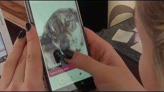 Tinder для собак: в Литве придумали приложение, помогающее животным из приютов найти новый дом (10.02.2019 22:41)