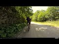 VIDEOCLIP Traseu cu bicicleta MTB Gara Lotru - Brezoi - Valea lui Stan - Malaia - Ciungetu - Petrimanu [VIDEO]