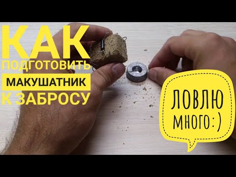 Поклевка на макушатник Поклевка на макушатник