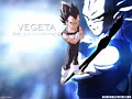 Image The Video Of The Couple Bulma And Vegeta