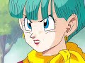 Picture The Video Of The Couple Bulma And Vegeta