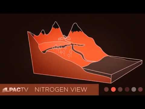 NAWAPA-Biogenic Migration of Atoms Nitrogen