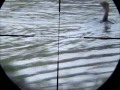 Photo Hunting Pecuk Kormoran Bullpup Air Rifle 177