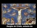 Anima Christi - Alma de Cristo