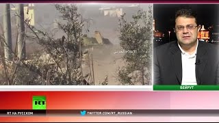 Эксперт: Турция заинтересована в том, чтобы не дать сирийским войскам занять Алеппо