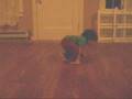 Break dancing baby