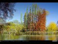 VIDEOCLIP Cu bicicleta prin Bucuresti - 9: Parcul Alexandru Ioan Cuza (Parcul Titan / Parcul IOR)