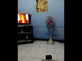 Photo Ngewe Di Kos