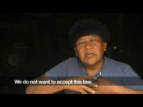 Yanomami - Davi Kopenawa - Survival International