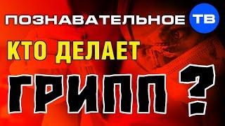 Кто делает грипп? (Пламен Пасков)