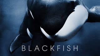 Blackfish (2013) - Official Trailer