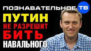 Почему Путин не разрешит Золотову бить Навального? (Артём Войтенков)